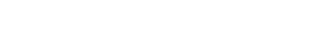 Partner Logo 4